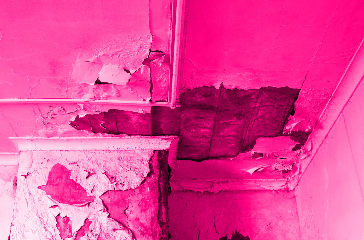 housing disrepair claim